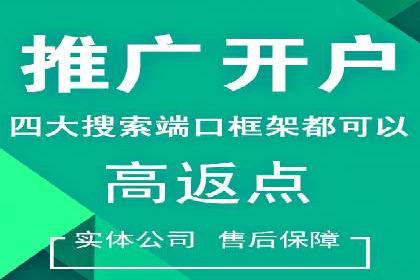 关键词竞价排名实战案例分析